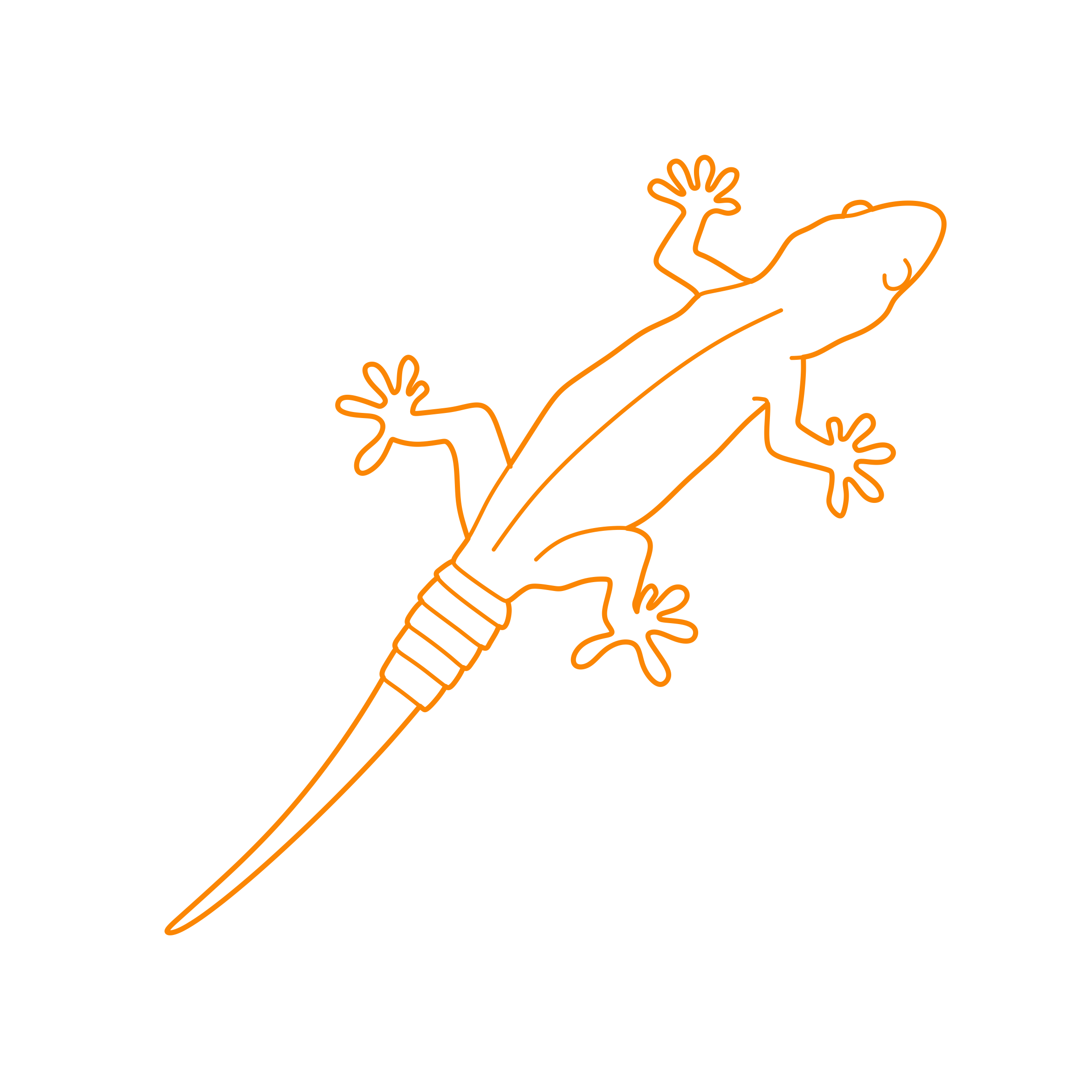 Animals Lizards Contour Svg Vector Free Vectors